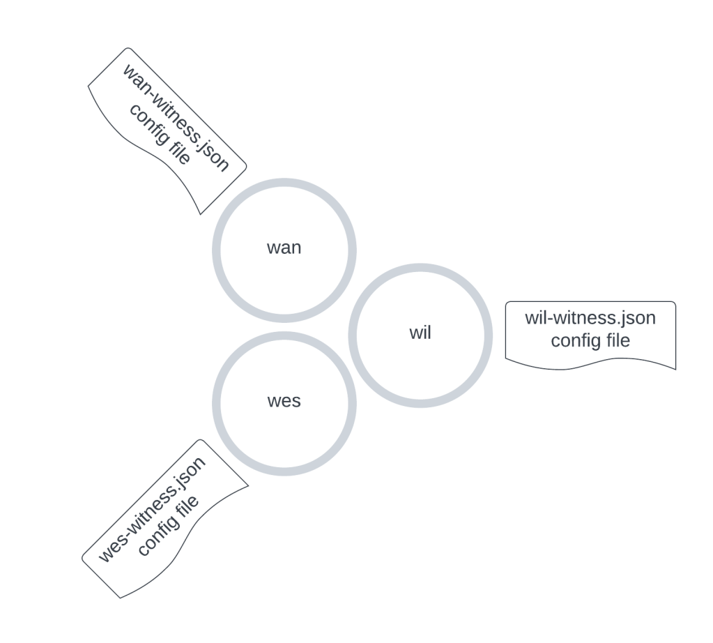witness network with config files